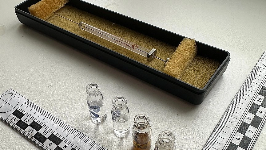 Главная картинка новости: Более 300 граммов наркотиков: в Новороссийске перед судом предстанет обвиняемая в организации бесконтактного сбыта