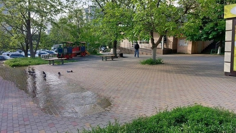 Неприятные запахи и проблемы с канализацией: жители Новороссийска требуют решения