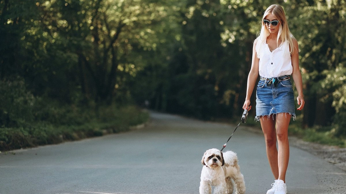 Паспорта и запрет на свободный выгул. Власти Новороссийска ввели правила для владельцев кошек и собак