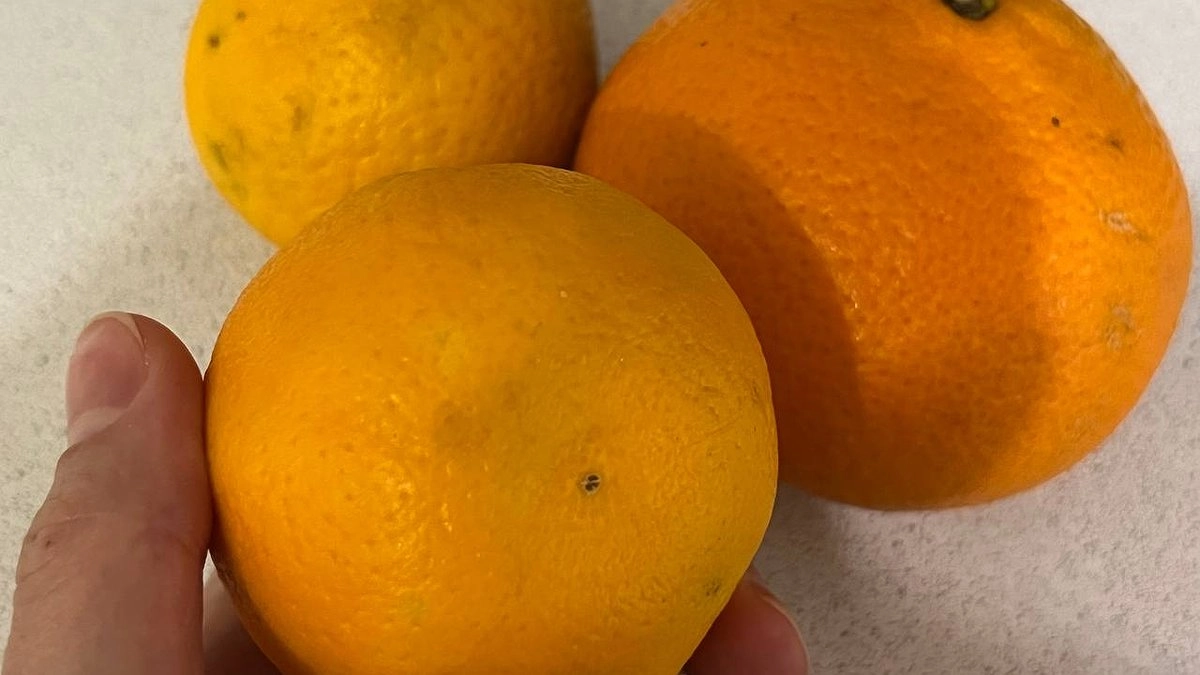 Не спешите огорчаться: есть супер легкий способ превратить кислые мандарины в медовые