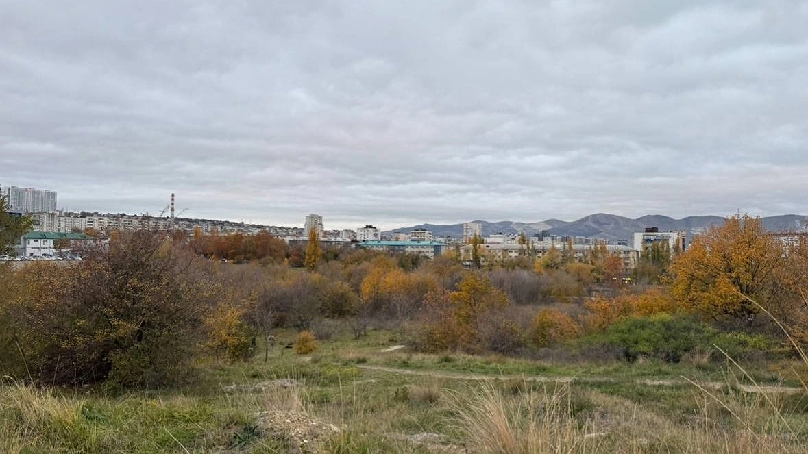 Главная картинка новости: Куда обращаться и какая положена помощь пострадавшим от атаки БПЛА в Новороссийске в 2025 году: полная инструкция от властей