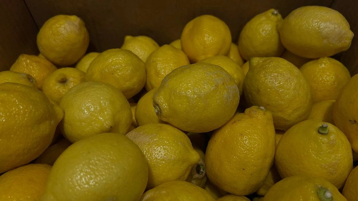 Я заменила утренний кофе на замороженный лимон. Что произошло с телом через 7 дней