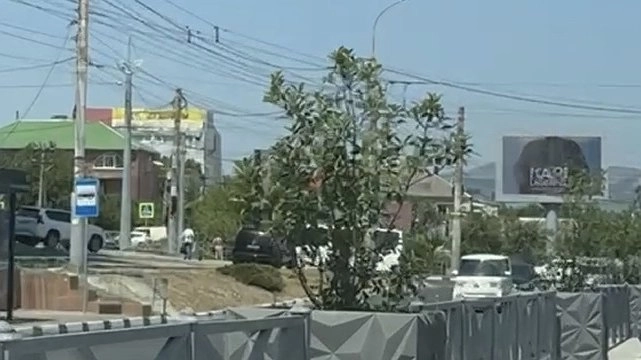 Главная картинка новости: Жители Новороссийска обеспокоены тем, что городские растения сохнут из-за нехватки полива