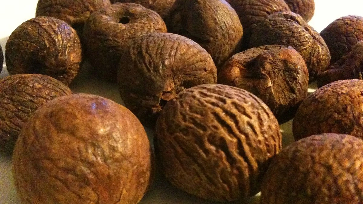 Опасный тренд: российские школьники массово скупают бетельный орех с наркотическим эффектом