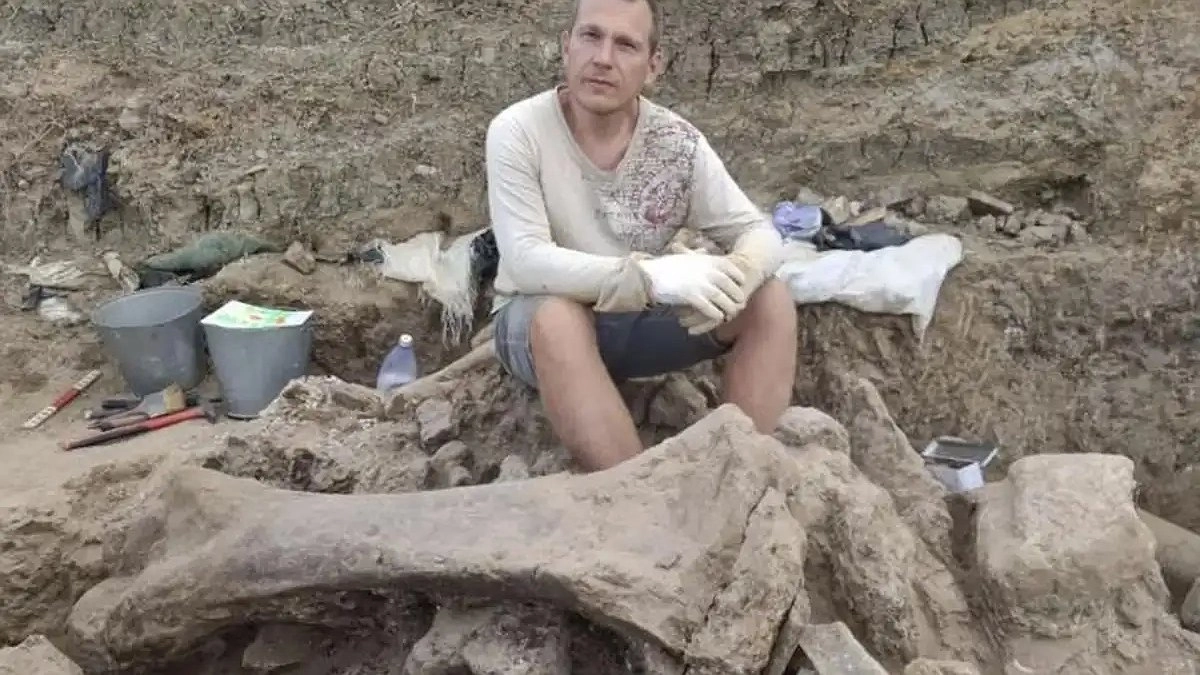 Сенсация на Тамани: археологи нашли черепа шести древних слонов