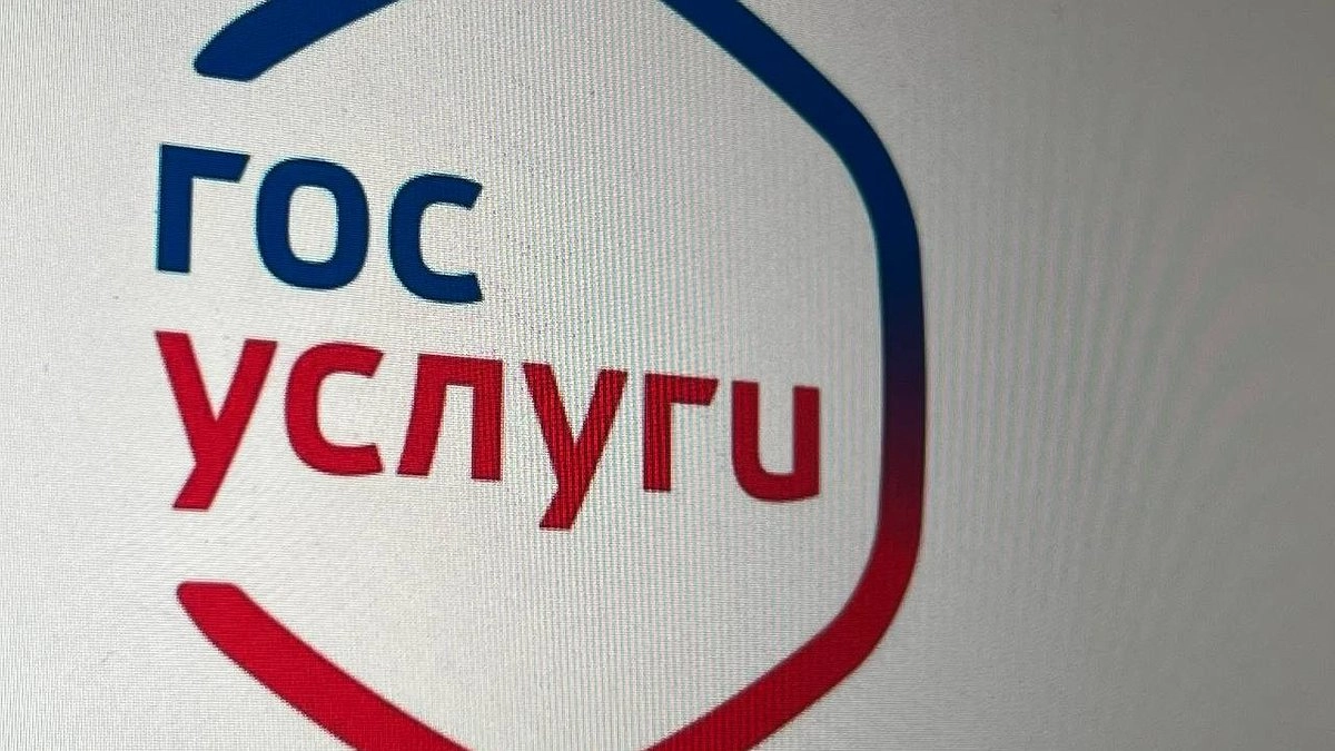 Цифровой ультиматум: Россиянам дали выбор — «Госуслуги» или прощай, зарплата