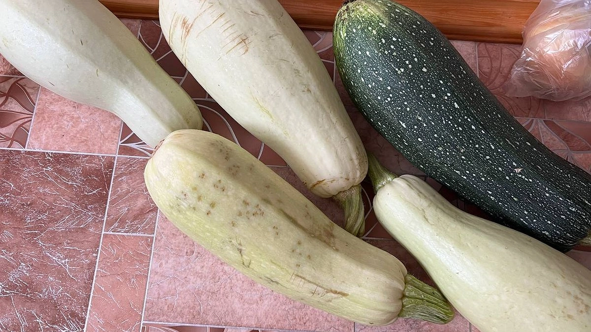 Кабачки до нового года лежат как свежие: раскладываю в шкафу с «секретом», о котором молчат дачники