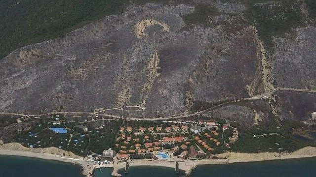 Главная картинка новости: Рослесхозом названа возможная причина возгорания леса под Новороссийском