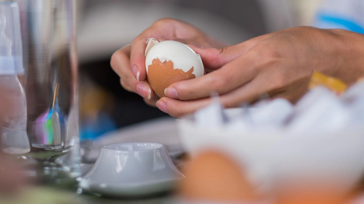 Главная картинка новости: Что произойдет с вашим телом, если есть по 2 яйца ежедневно: результат поразил