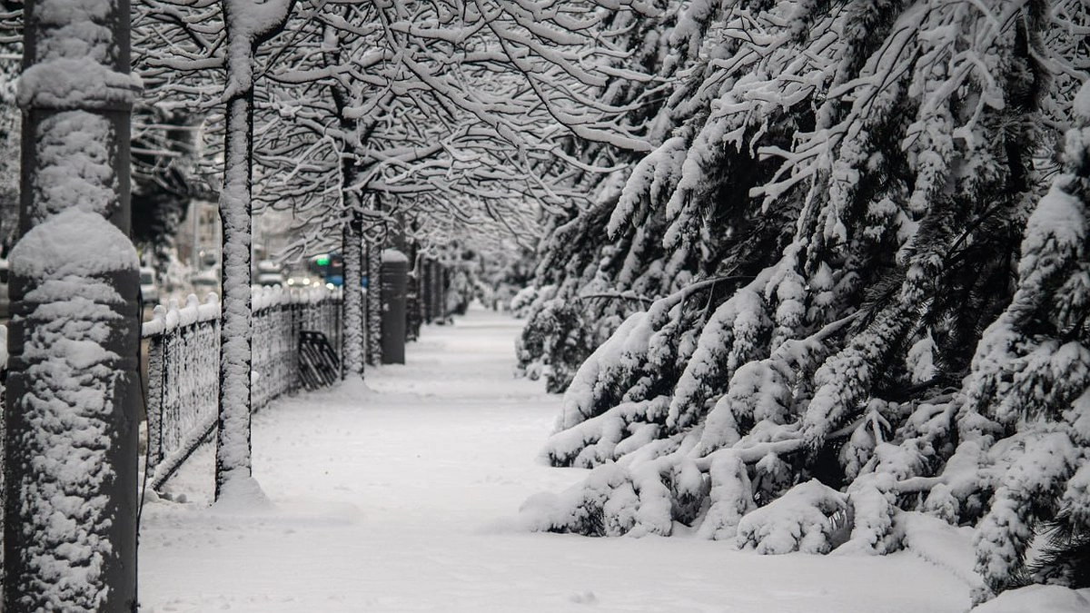 Арктическое вторжение накроет Краснодар: тёплые выходные сменится морозами и гололёдом