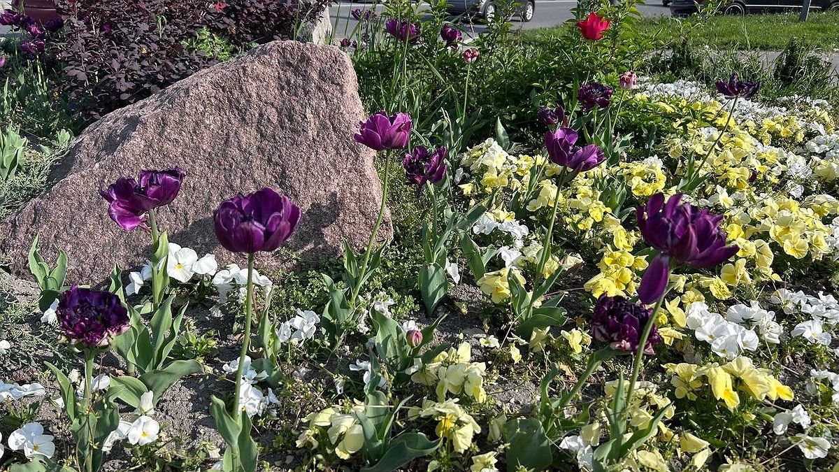 Главная картинка новости: Весна приходит раньше срока: синоптики пообещали кубанцам потепление до +13 и солнечные выходные