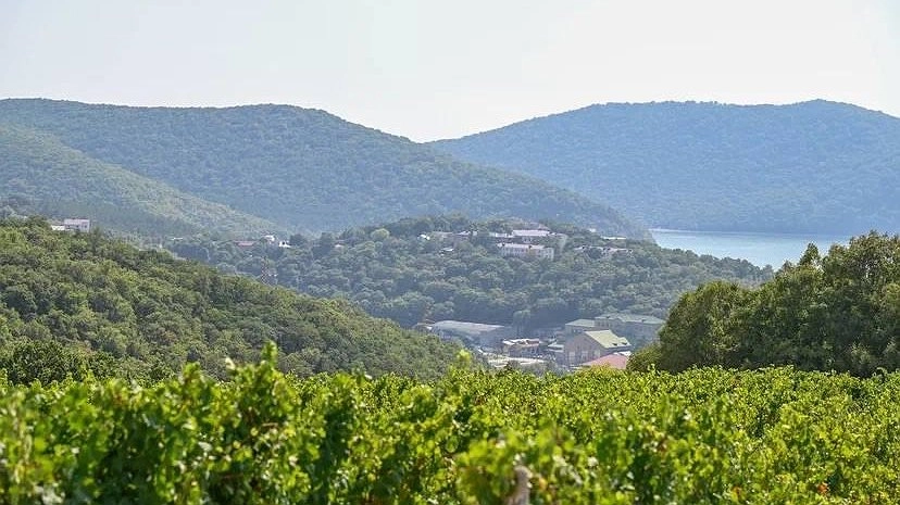 Под Новороссийском строят очистные сооружения