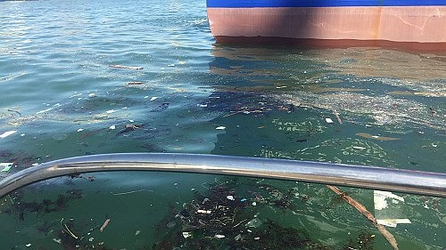 Порт Новороссийска заплатил более 20 миллионов за загрязнение Черного моря