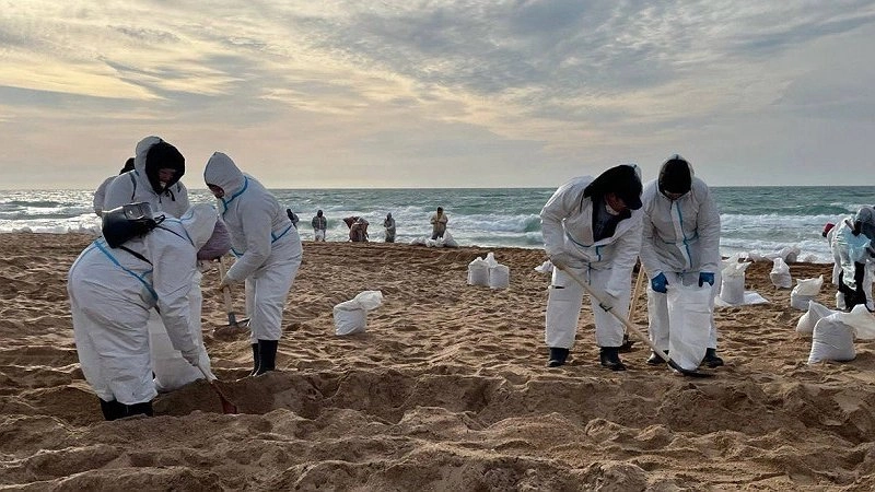 Студенты Анапы предложили установить памятник волонтерам, ликвидировавшим последствия экологической катастрофы