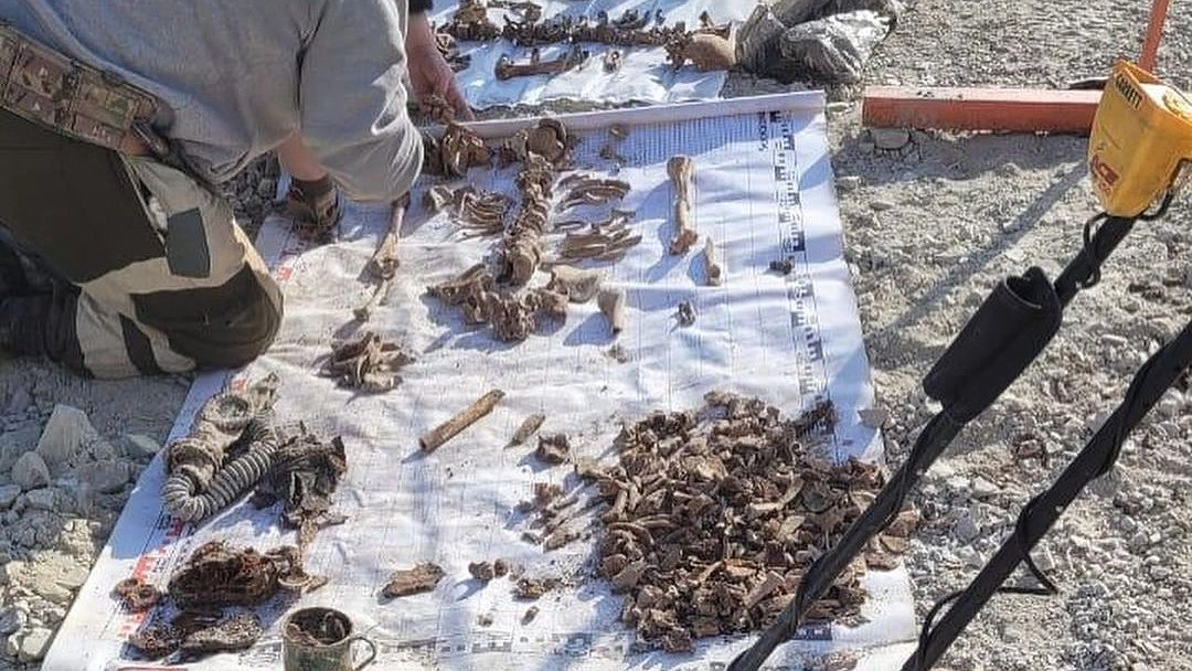 На стройплощадке в Южном районе Новороссийска нашли останки