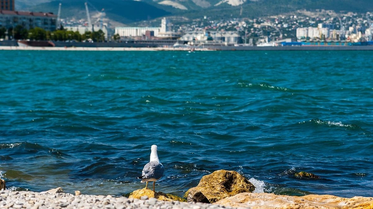 Не хотите мерзнуть в воде? Эти 5 пляжей Краснодарского края будут самыми теплыми в июле