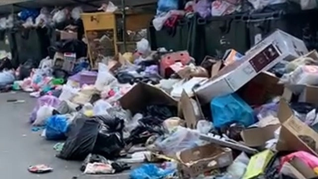 В Новороссийске горожане показали свалку у переполненных мусорных баков