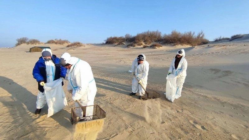 Возможная утилизация загрязнённого песка в Новороссийске: обследование полигона в станице Раевской