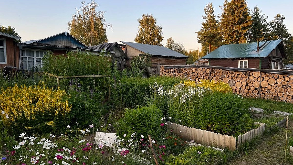 Садовый сезон закрыт: эксперты советуют срочно укрыть эти 5 растений до выходных — чтобы не пожалеть весной