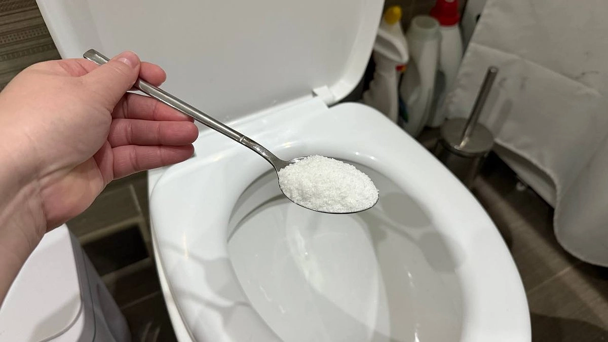 Главная картинка новости: Почему нужно солить воду в унитазе: намотайте себе на ус