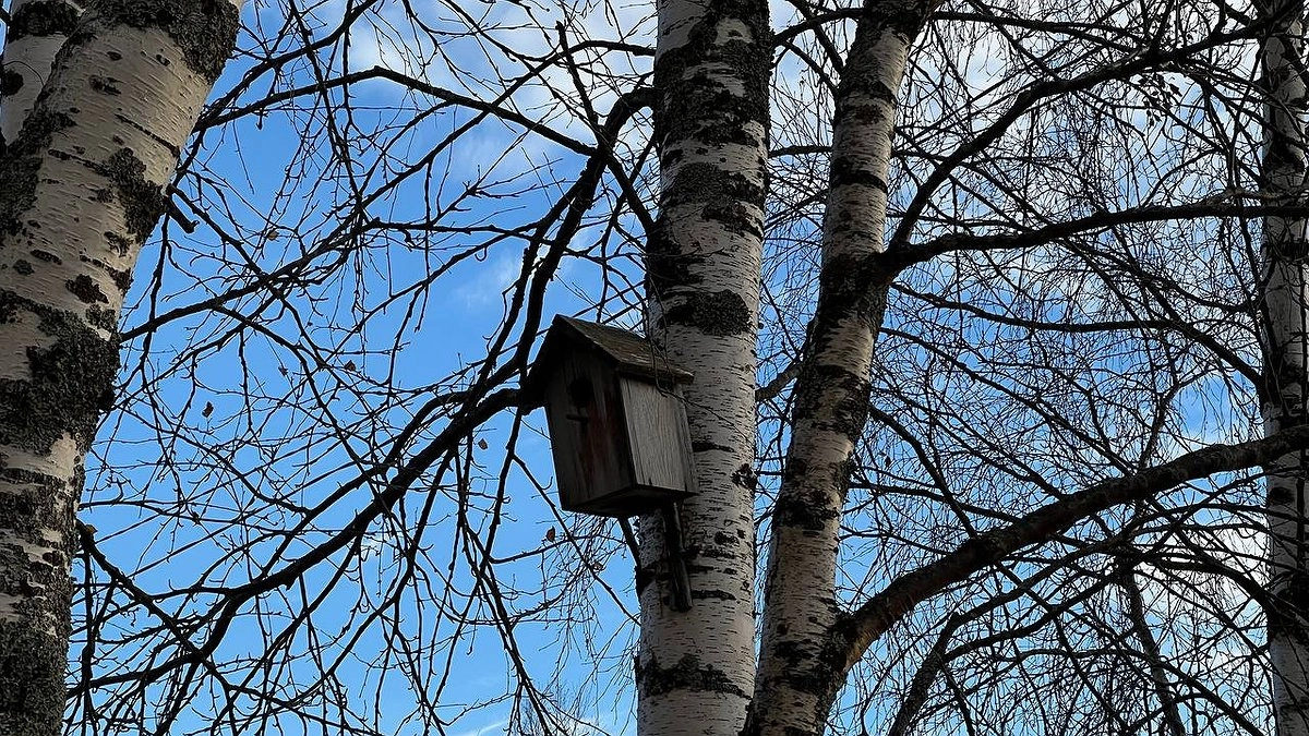 Синоптики переписали сентябрь: вместо +25 °C — снег и гололедица. Кому готовить сани