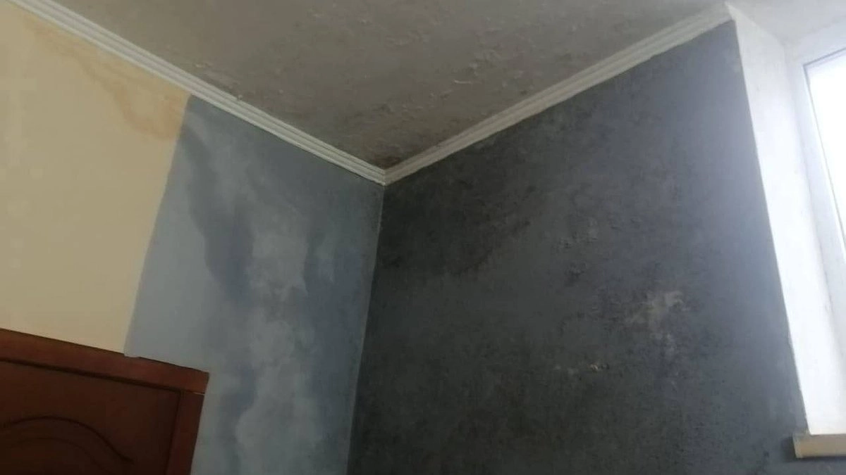 Главная картинка новости: Плесень в школе: в Новороссийске пройдет проверка