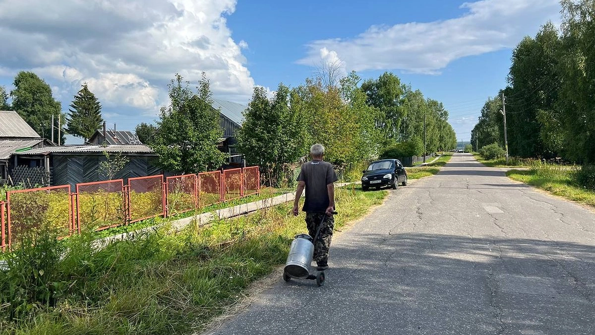Дачники объединяют участки и выходят из товариществ: причины