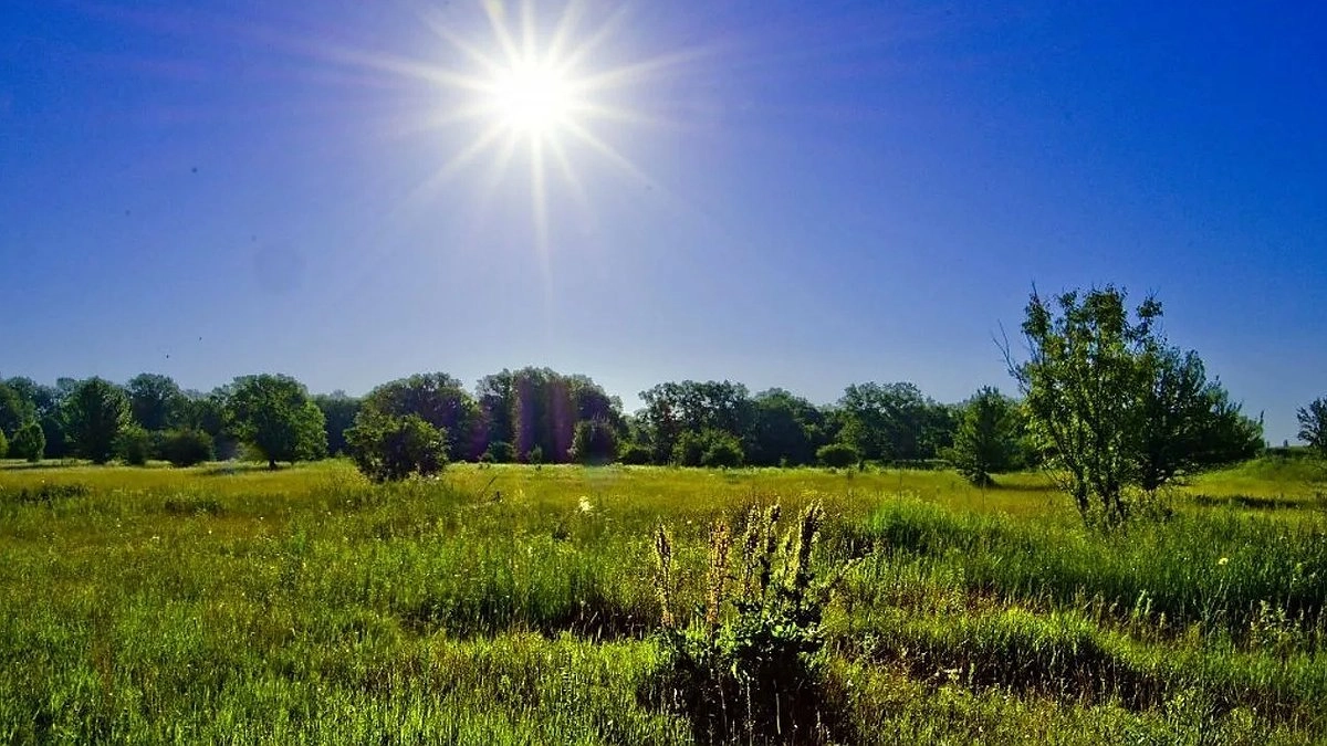 Шашлыки под запретом: в новороссийских лесах ввели жесткие ограничения