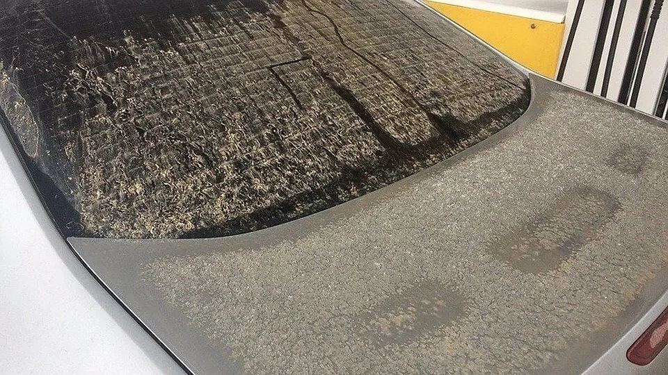 Цементный дождь в Новороссийске: природа взбунтовалась или заводы скрывают выбросы? Шокирующие кадры