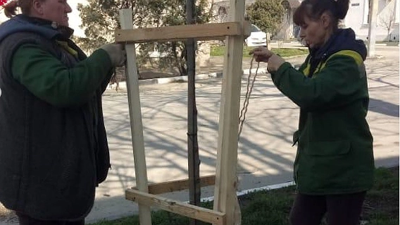 732 дерева и 1081 кустарник появятся в Новороссийске до конца апреля