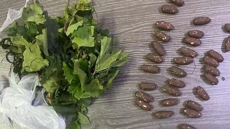 Главная картинка новости: В Новороссийске задержали женщину с 30 слепками наркотиков