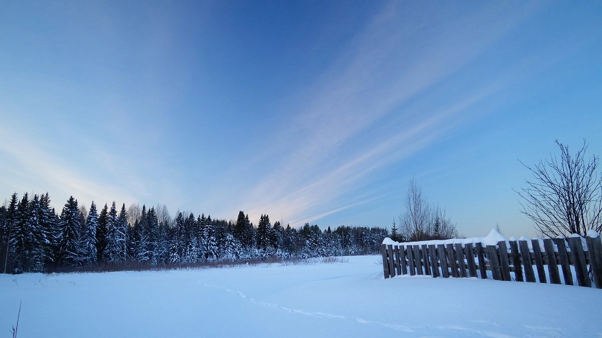В Госдуме сделали важное заявление о сокращении новогодних каникул