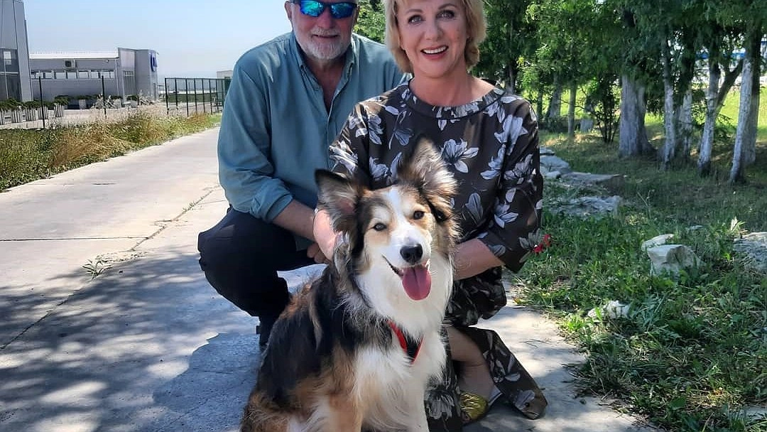 Главная картинка новости: Бордер-колли из Новороссийска стала героиней сериала с Еленой Яковлевой. 12+