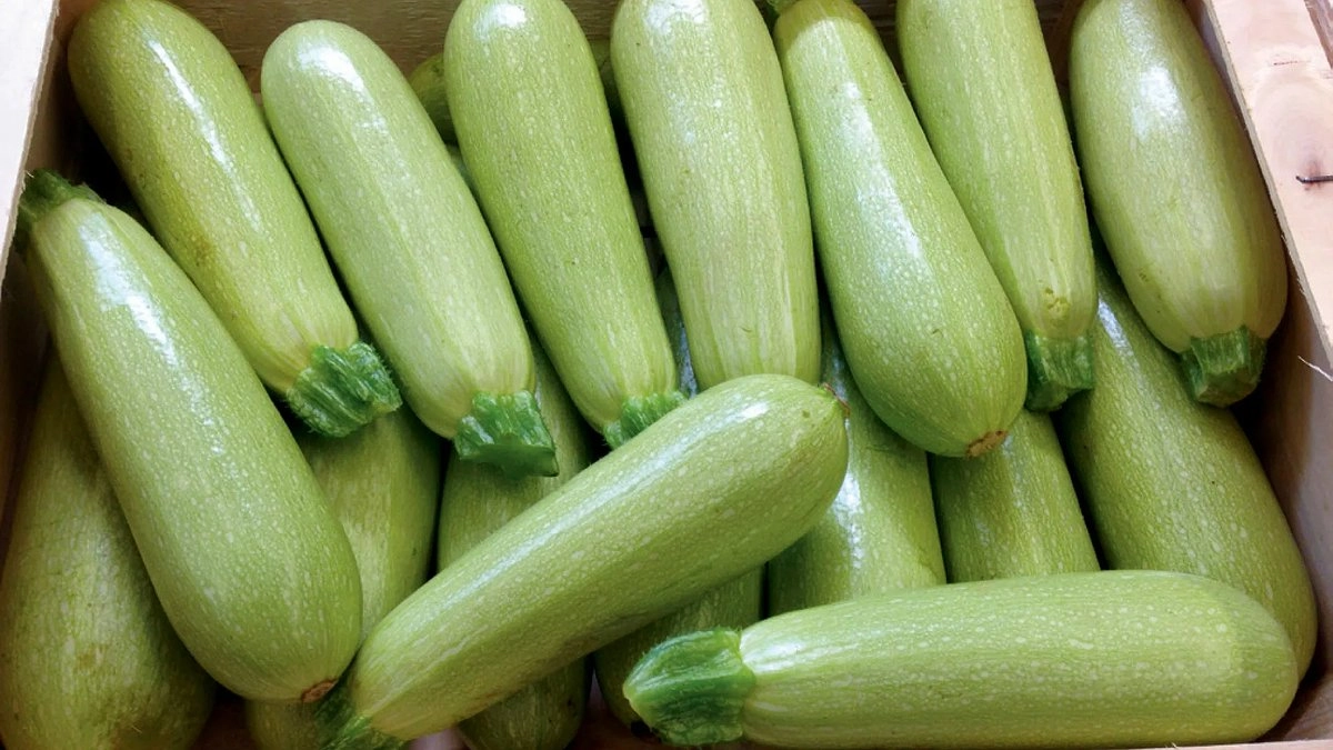 Почему в Новороссийске зеленый кабачок дороже белого? Продавцы раскрывают секрет