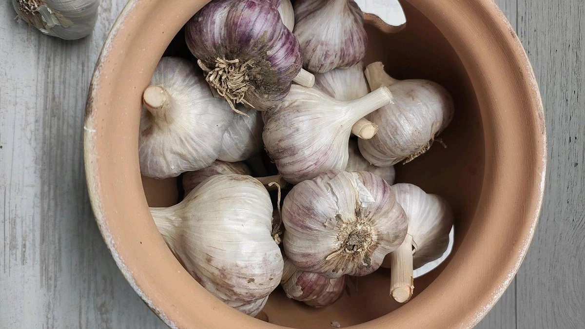 Как правильно хранить лук и чеснок зимой: лучшие способы для квартиры и дома