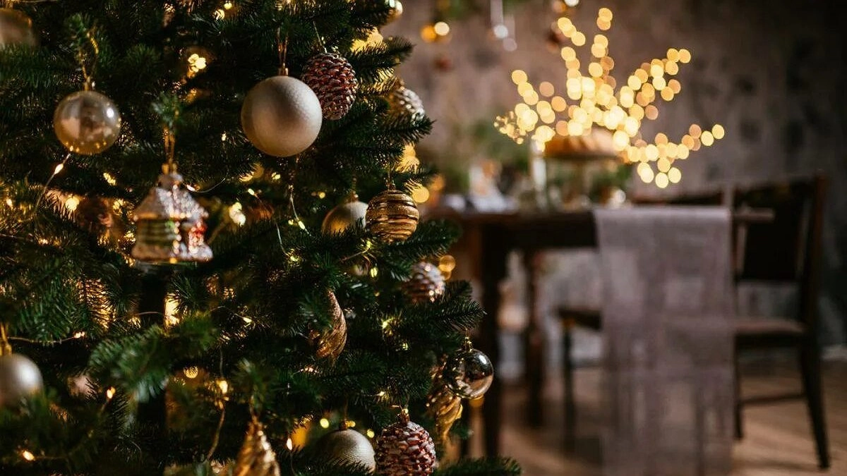 Главная картинка новости: Больше, чем ожидали: раскрыто, сколько будут отдыхать россияне в январе 2026 года