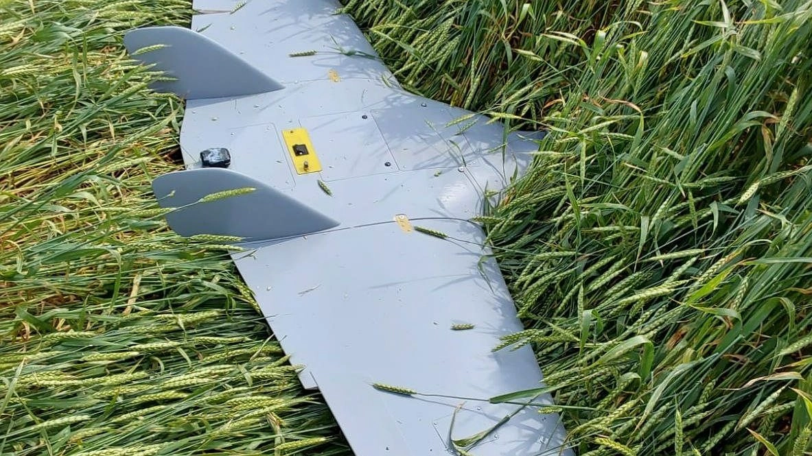 Главная картинка новости: Беспилотные птицы : что делать, если увидел в небе дрон?