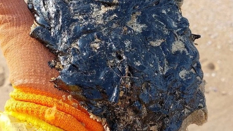 Очистка береговой линии Черного моря продолжается, несмотря на сложные погодные условия