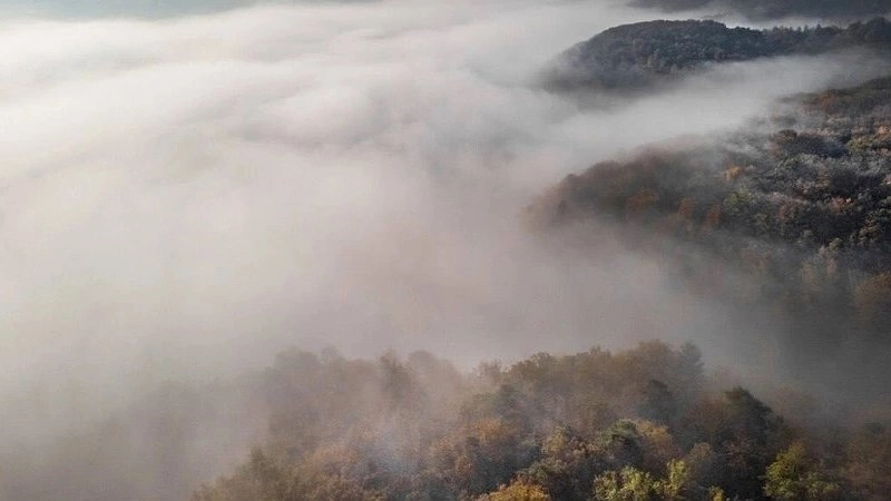 Прогноз погоды в Краснодарском крае на 7 мая: облачность и туман