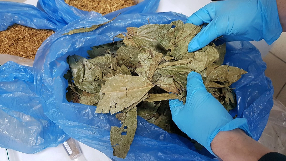 Новороссийские таможенники нашли 7 килограмм наркотиков для «медитации»