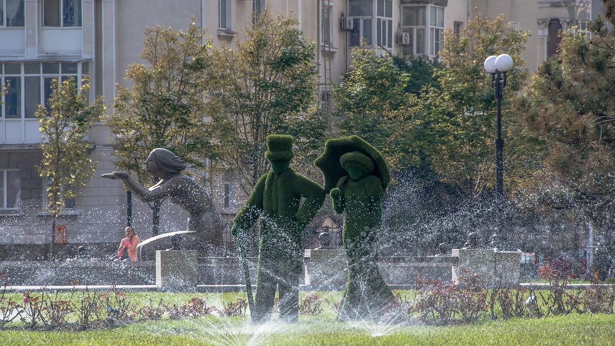 Главная картинка новости: Магнолия, лаванда и зверобой: на вертикальное озеленение Новороссийска выделяют 10 миллионов рублей