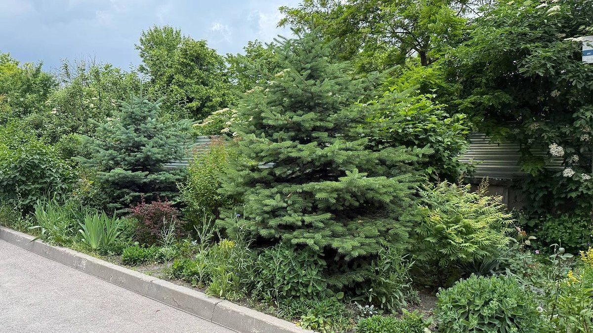 Россию накроет "мешок холода": в Гидрометцентре огласили прогноз с 26 июня - погода начнет люто издеваться