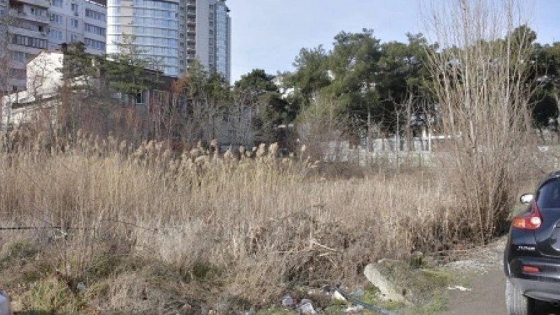 Конфликт вокруг парка имени Фрунзе: местные жители и экологи против новой дороги
