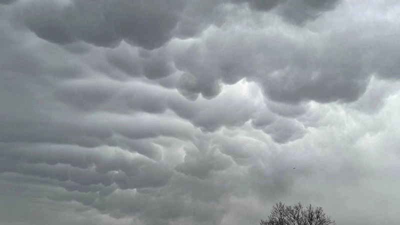 Новороссийск удивлён облаками мамматус: жители делятся фотографиями в соцсетях
