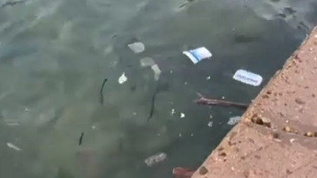 Замглавы Новороссийска прокомментировал информацию о грязных пляжах