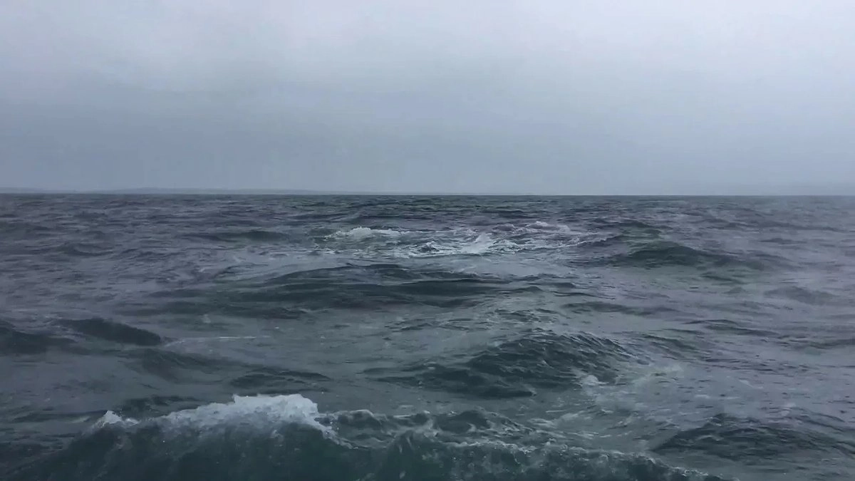 Главная картинка новости: Штормовой ветер и ливни накроют Сочи и Сириус в ближайшие сутки