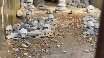 Главная картинка новости: Под Новороссийском блогер обнаружил локацию с черепами и алтарем