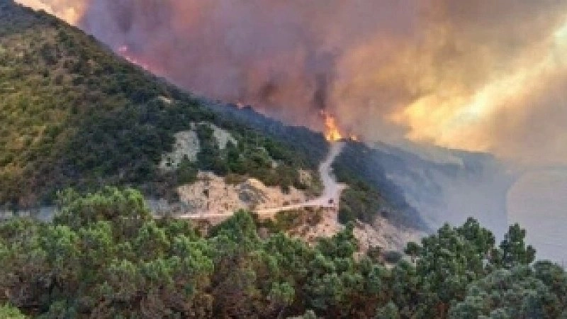 В Краснодарском крае продолжается расследование крупного лесного пожара: ущерб будет оценен к маю 2025 года