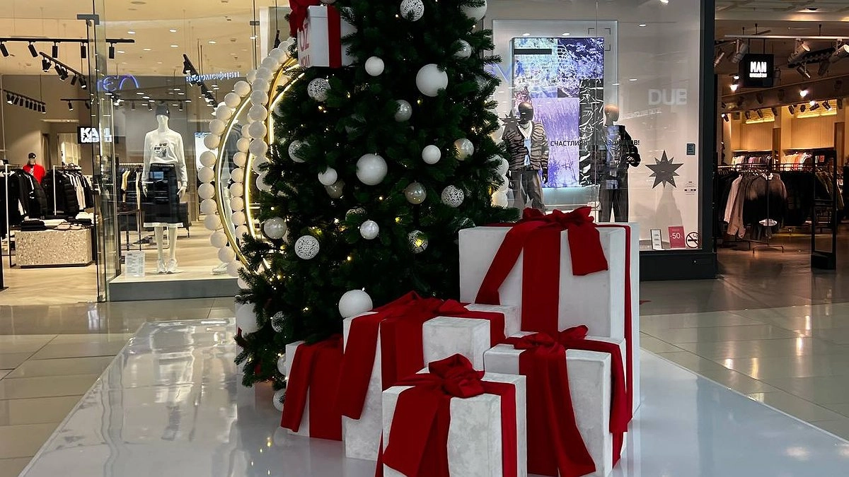 Главная картинка новости: Схватят быка за рога: Василиса Володина назвала три знака, которые привлекут удачу в свою жизнь в второй половине декабря