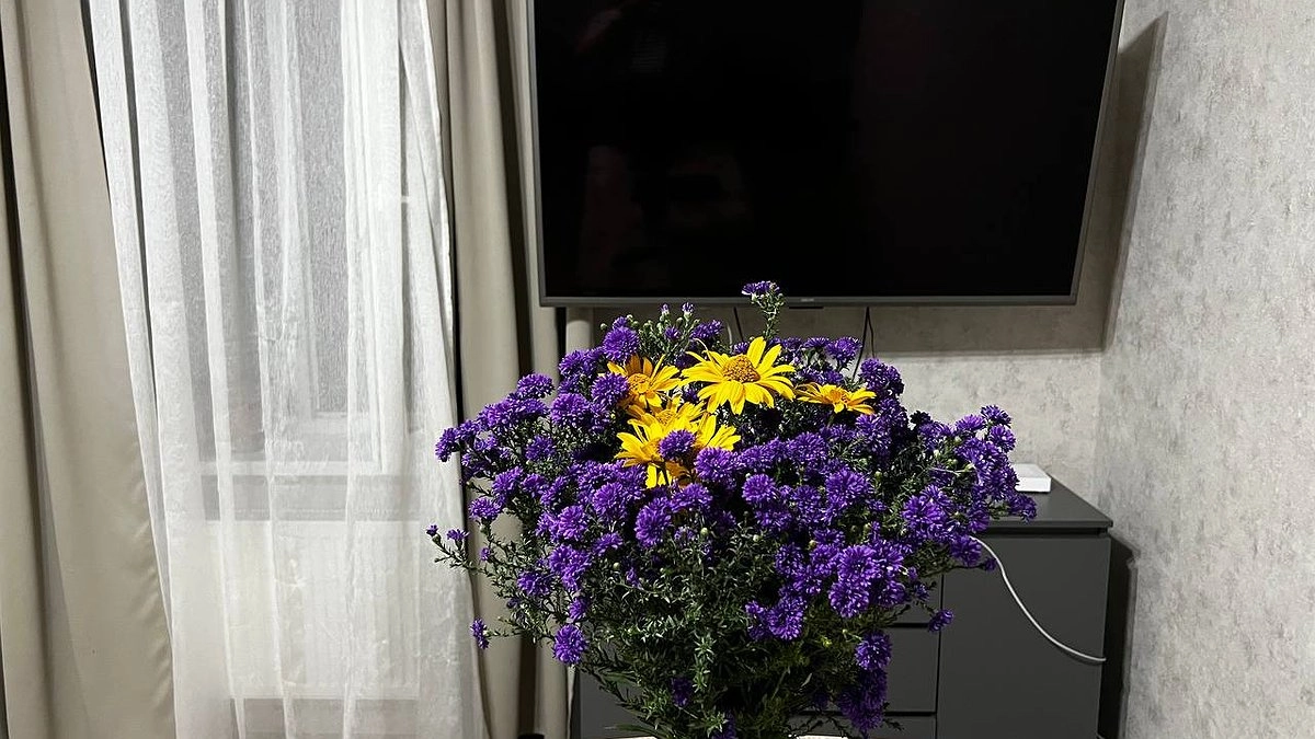 В квартире больше не воняет: эта хитрость навсегда уберет неприятный запах - не химия, не уксус, не кофе